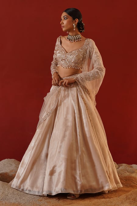 Kapda Dori_Beige Tissue, Net, Organza Pearls, Sequins, Embroidered Waistband Lehenga Set _at_Aza_Fashions