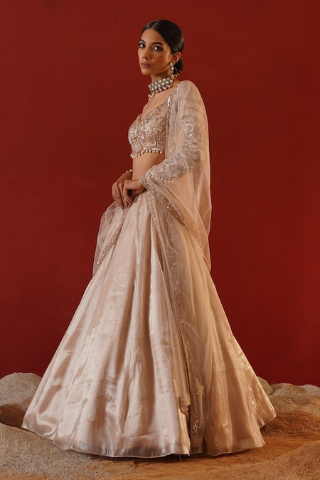 Buy_Kapda Dori_Beige Tissue, Net, Organza Pearls, Sequins, Embroidered Waistband Lehenga Set 
