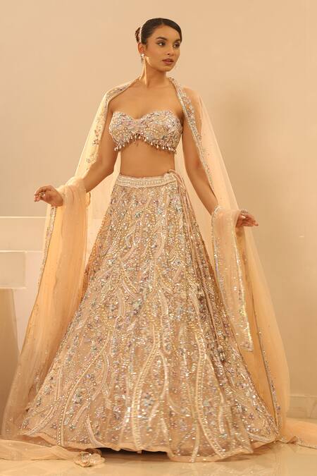 Kapda Dori_Beige Net, Crepe, Tissue Sequins, Crystals, Cut Work, Embroidered Lehenga Set _at_Aza_Fashions