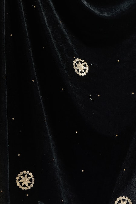 Naintara Bajaj_Black Velvet Beads, Stones Floral Embroidered Dupatta _Online_at_Aza_Fashions
