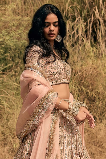 Labelmayaa_Pink Silk, Organza Mirrors, Zari, Embroidery Round Blush And Zardozi Lehenga Set _Online_at_Aza_Fashions