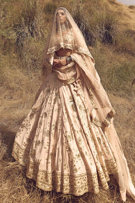 Labelmayaa Bird Embroidered Bridal Lehenga Set 