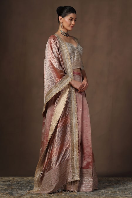 tara thakur Scallop Border Embroidered Pre-Draped Saree 