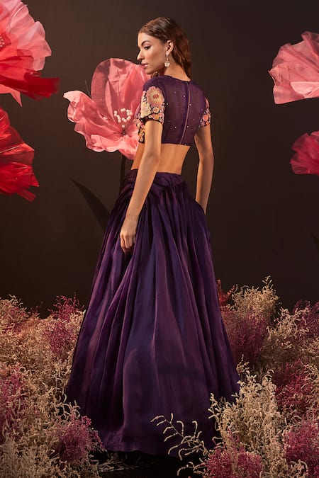 Rishika Singh Resham Embroidered Blouse & Pleated Lehenga 