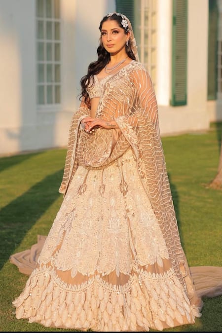 Kaynaat By Aanchal Sawhney Taupe Brown 3D Leaf Embroidered Lehenga Set 