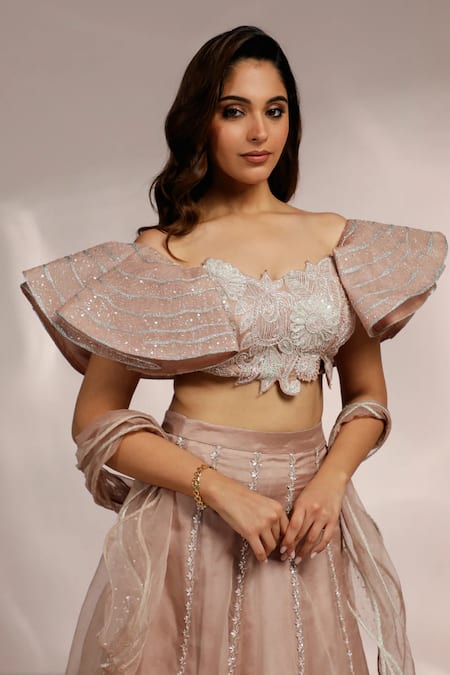 Shop_Label Moni K_Rose Gold Net Sequins, Cut Work, Embroidery Floral Vine Lehenga Set _Online_at_Aza_Fashions