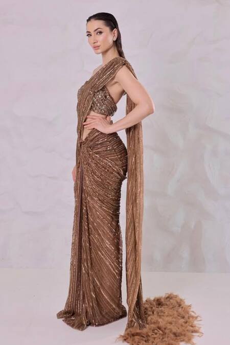 Kaynaat By Aanchal Sawhney_Brown Net Cut Work, Sequins, Crystals, Feathers Embellished Pre-draped Saree Set _Online_at_Aza_Fashions