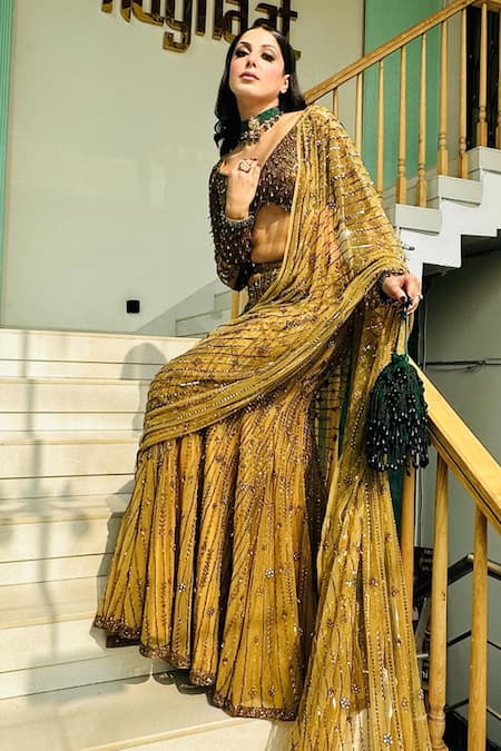 Kaynaat By Aanchal Sawhney_Gold Net Cut Work, Sequins, Beads Vine Cutdana Embellished Pre-draped Saree _Online_at_Aza_Fashions