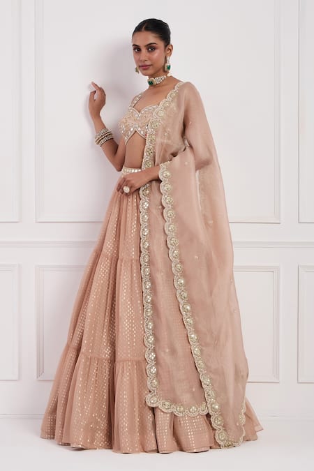 Shop_Neha Khullar_Pink Chanderi , Net, Organza, Cut Work, Blush Lehenga Set _Online_at_Aza_Fashions