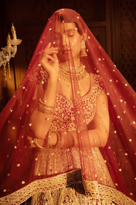 Maisolos Maroon Net Bahara Leaf Neck Embroidered Bridal Lehenga Set Online at Aza Fashions Maisolos_Maroon Net Bahara Leaf Neck Embroidered Bridal Lehenga Set _Online_at_Aza_Fashions