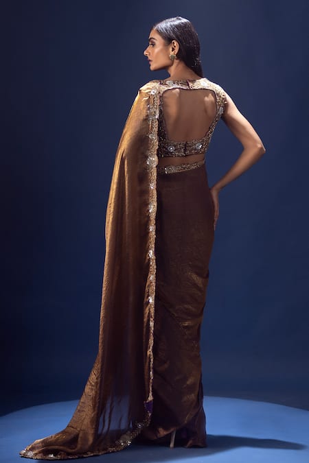 Krisha Sunny Ramani Metallic Pre-Draped Saree & Embroidered Blouse 