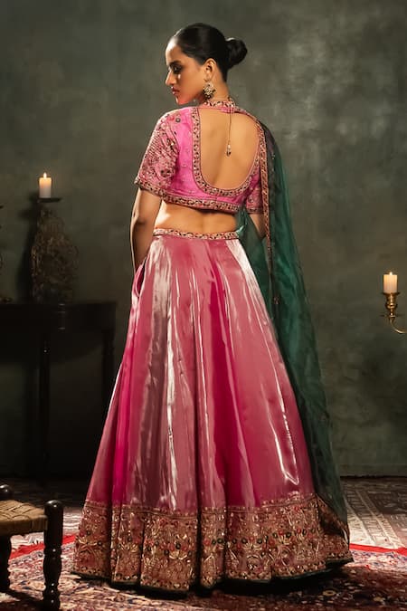 Aavya Bahar Vine Embroidered Lehenga Set 
