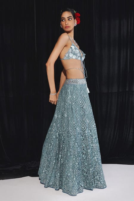 Twenty Nine Mirror Jaal Embroidered Lehenga 