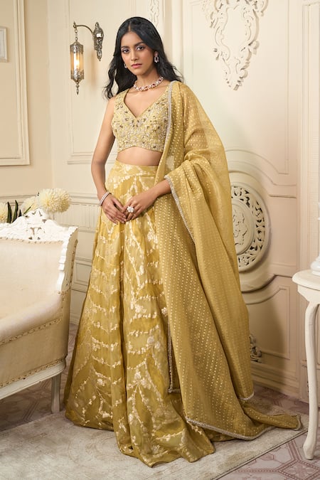 Buy Aariyana Couture Green Silk, Georgette Embroidery, Beads Floral Vine Woven Motifs Lehenga Set Buy_Aariyana Couture_Green Silk, Georgette Embroidery, Beads Floral Vine Woven Motifs Lehenga Set