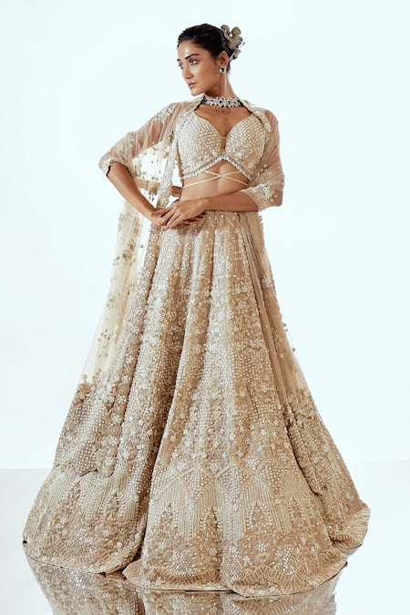 Pallavi Poddar Mouse Brown Organza Lehenga Set 