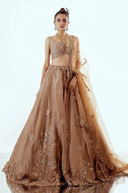 Pallavi Poddar Brown Organza Lehenga Set With Dupatta 