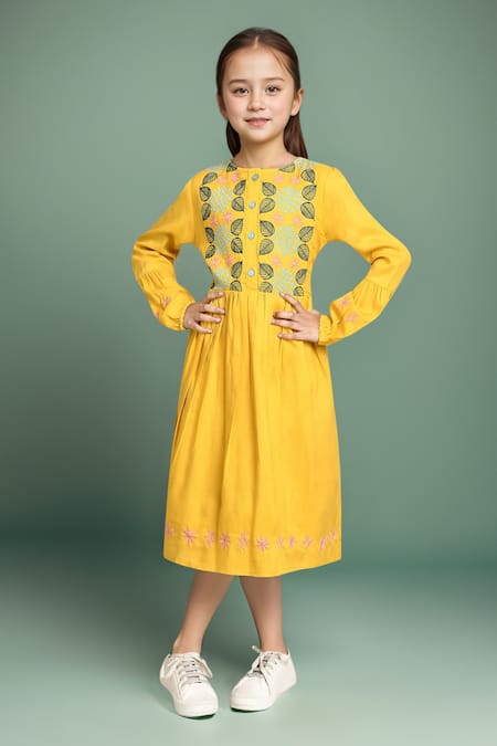 Samyukta Singhania Embroidered Cotton Fit And Flare Dress 