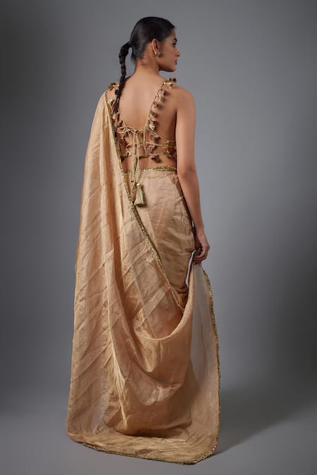 Payal Singhal Embroidered Tissue Fabric Saree & Choli Set 
