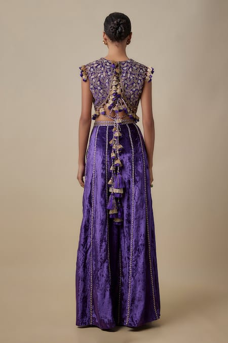 Payal Singhal Embroidered Velvet Choli & Sharara Pant Set 