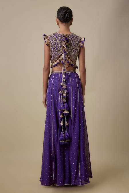 Payal Singhal Embroidered Georgette Choli & Sharara Set 