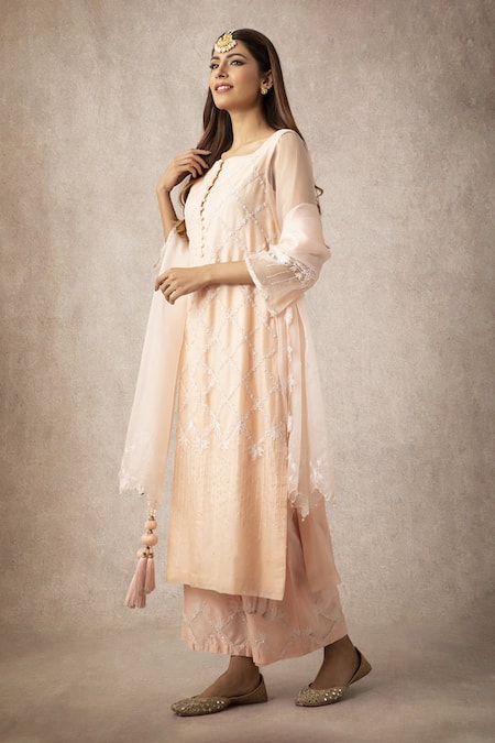 Ajiesh Oberoi Embroidered Organza Kurta Set 