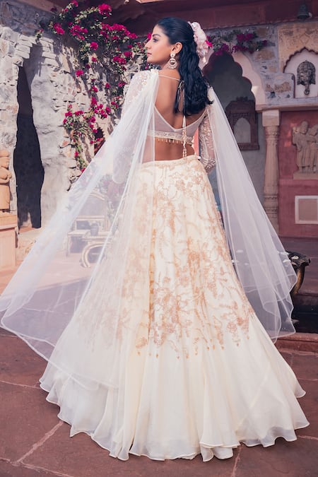 Meenagurnam_Beige Net, Viscose, Georgette Beads, Sequins, Embroidery Classic Lehenga Set _Online_at_Aza_Fashions