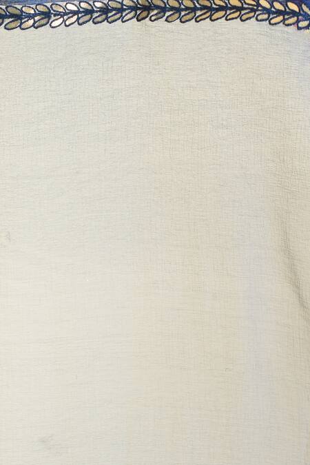 Samyukta Singhania Embroidered Navy Blue Chiffon Dupatta 3