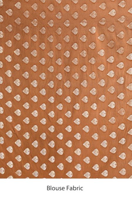 Samyukta Singhania_Brown Silk Banarasi Saree With Blouse _Online_at_Aza_Fashions