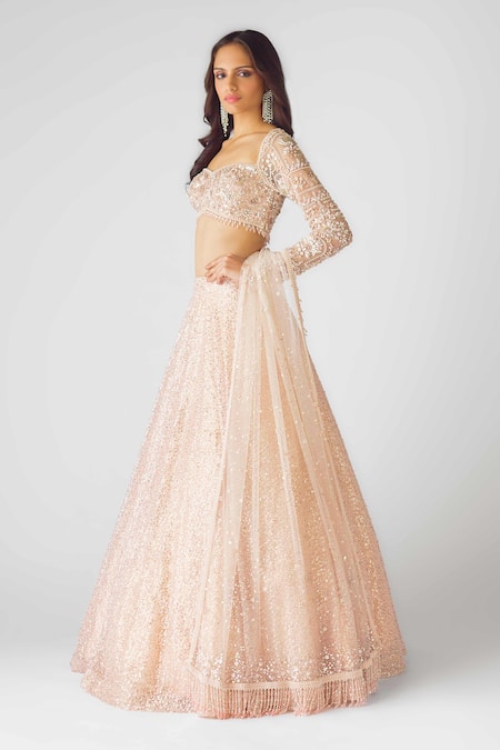Basanti - Kapde Aur Koffee_Peach Net Sequins, Pearls, Cut Work Celestial Dream Lehenga Set_Online_at_Aza_Fashions