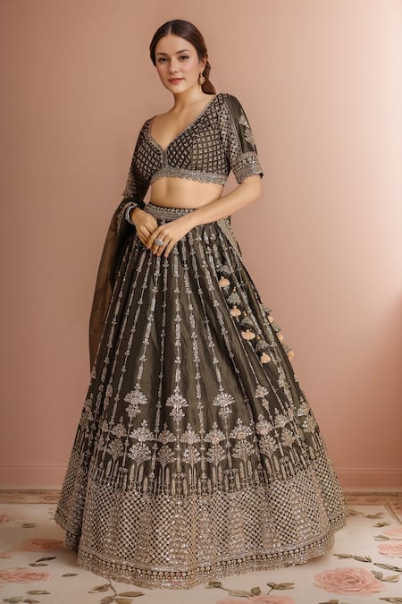 Shop_Samyukta Singhania_Green Silk, Organza Sequins, Tassels, Embroidery Dark Lehenga Set