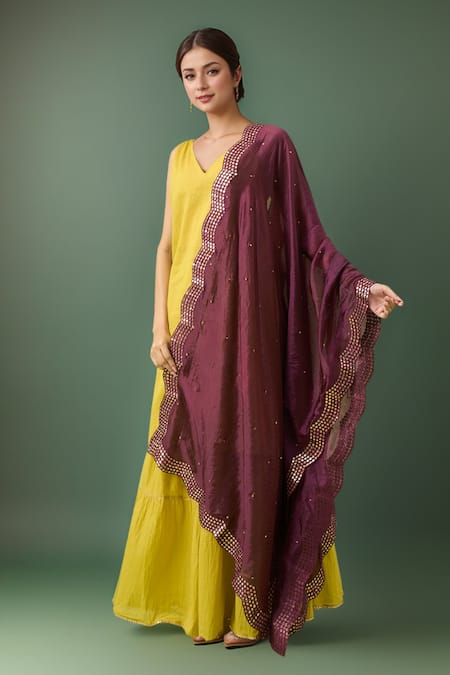 Samyukta Singhania Embroidered Border Cut Work Dupatta 