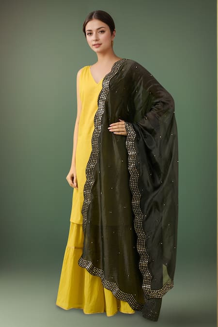 Samyukta Singhania Black Embroidered Border Dupatta 