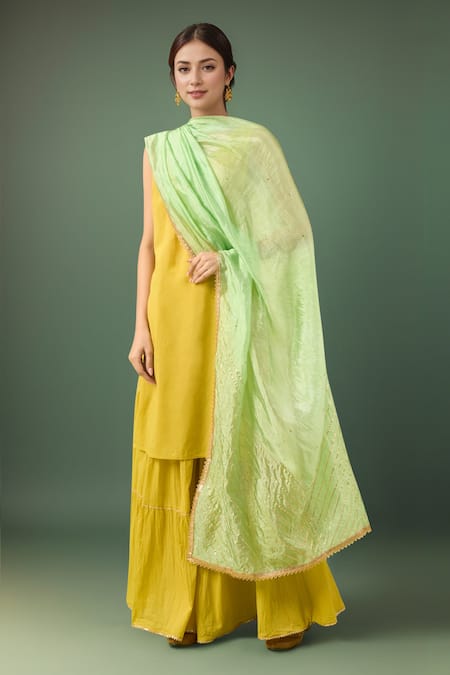 Samyukta Singhania Gotta Patti Sequinned Dupatta 