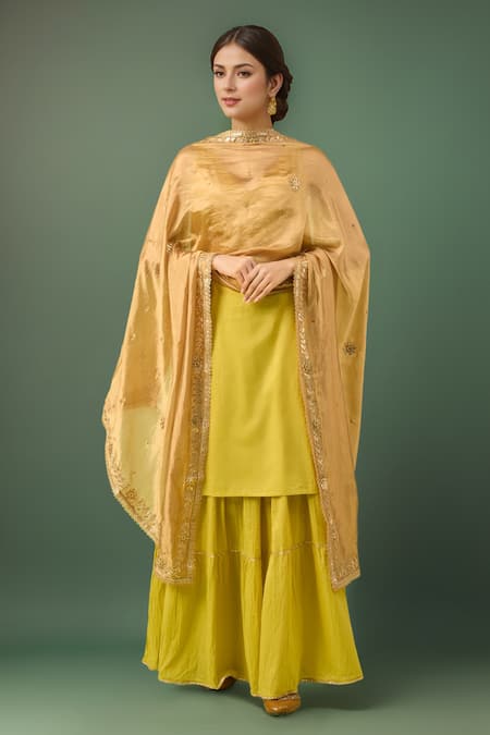 Samyukta Singhania Gold-Toned Embroidered Silk Blend Dupatta 