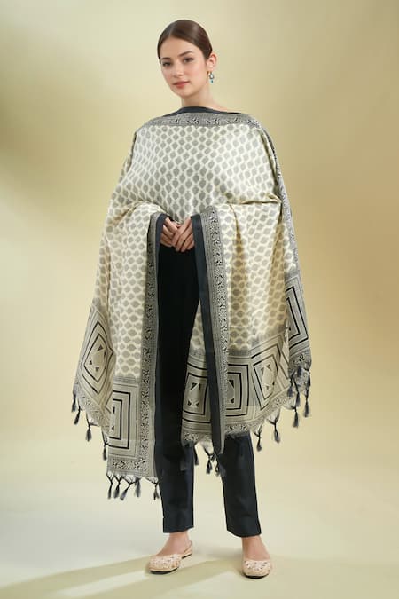 Samyukta Singhania Printed Silk Blend Dupatta 