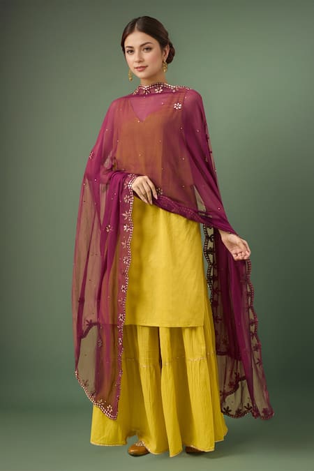Samyukta Singhania Cut Work Embroidered Chiffon Dupatta 