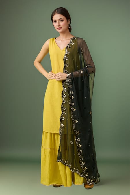 Samyukta Singhania Cut Work Embroidered Chiffon Dupatta 