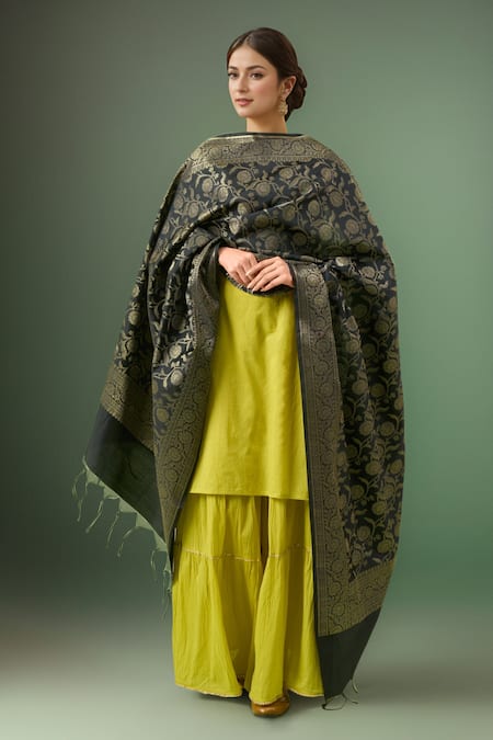 Samyukta Singhania Black Printed Banarasi Dupatta 
