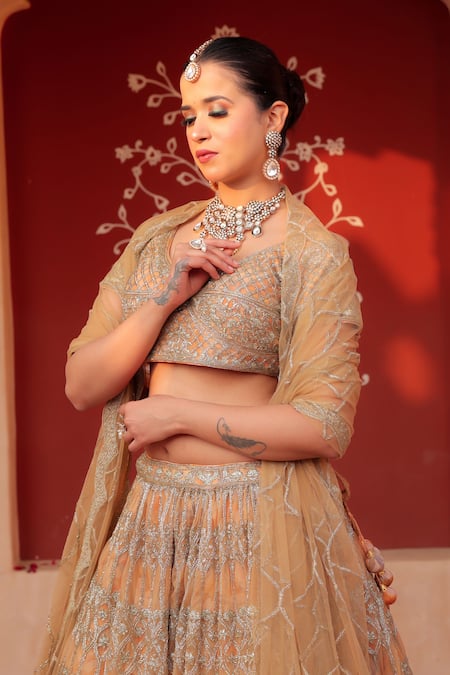 Amaltas Couture_Gold Net, Crepe Embroidery V-neck Bridal Lehenga Set _Online_at_Aza_Fashions