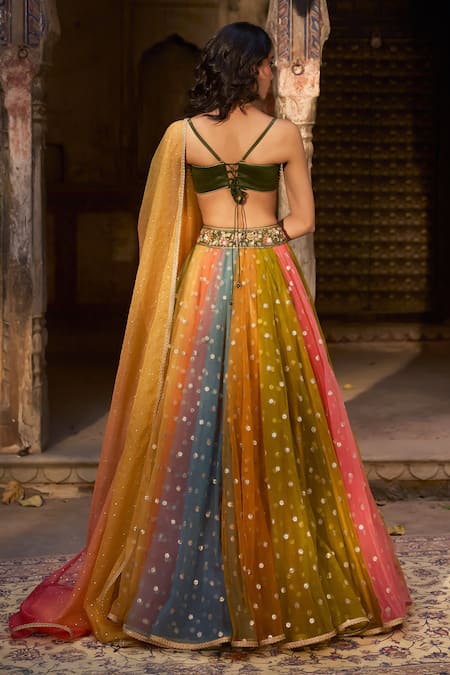 Cedar & Pine Multi Colour Embroidered Lehenga Set 