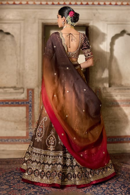 Cedar & Pine Brown Raw Silk Embroidered Lehenga Set 