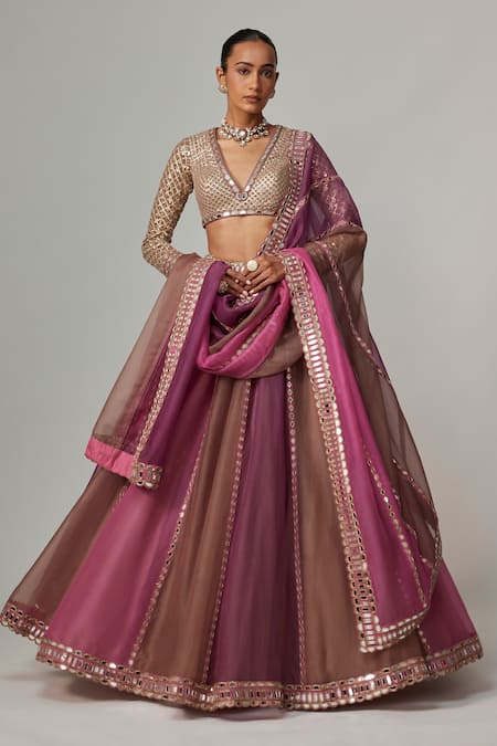 Vvani by Vani Vats Beige Organza, Georgette Gota Patti V-neck Mud Mauve Multicolor Lehenga Set 