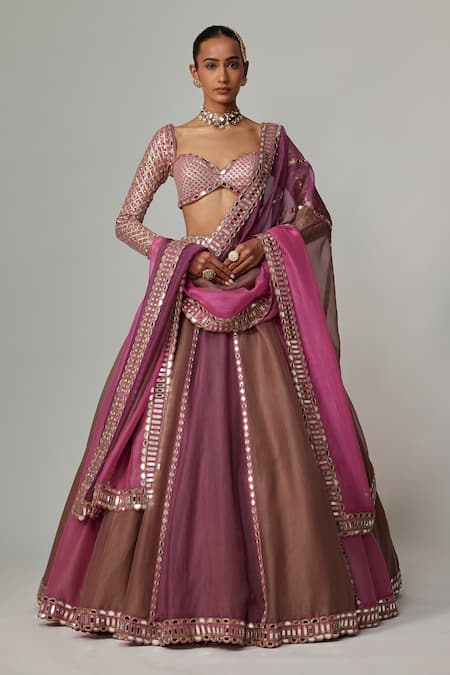 Vvani by Vani Vats Mud Mauve Multicolor Lehenga Set 
