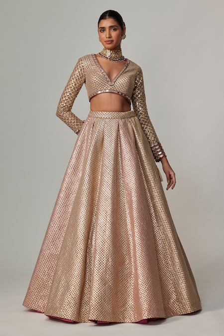 Vvani by Vani Vats Beige Georgette Gota Patti, Mirrors V-neck Deep V Crop Top And Skirt Set 