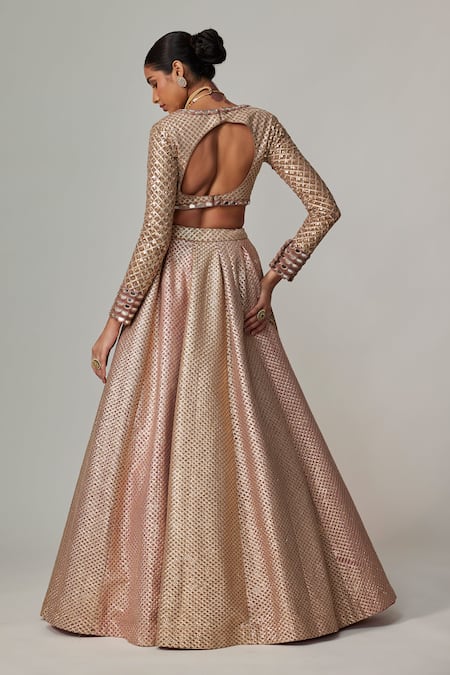 Vvani By Vani Vats Deep Beige V Neck Crop Top & Skirt Set 