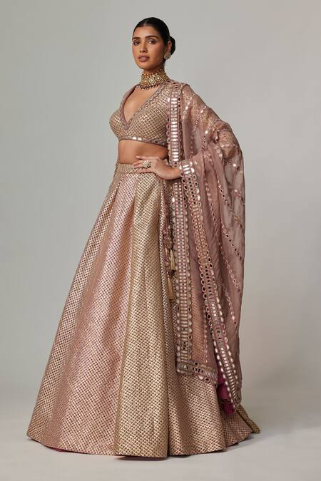 Vvani By Vani Vats_Beige Georgette, Organza Gota Patti V-neck Deep Embroidered Lehenga Set _Online_at_Aza_Fashions