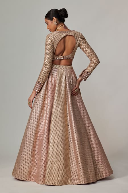 Shop_Vvani By Vani Vats_Beige Georgette, Organza Gota Patti V-neck Deep Embroidered Lehenga Set _at_Aza_Fashions