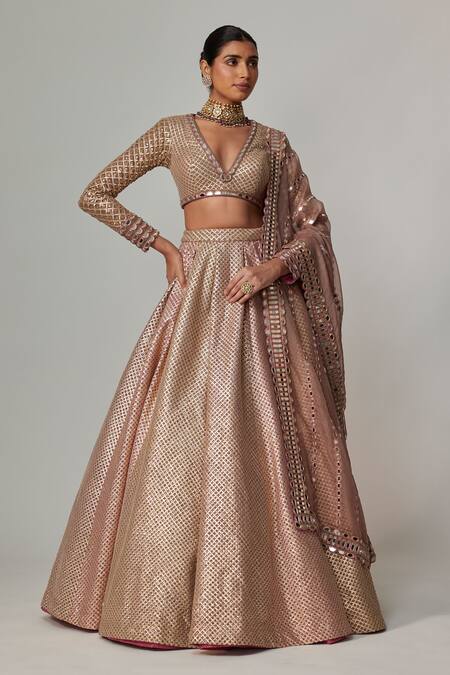 Buy_Vvani By Vani Vats_Beige Georgette, Organza Gota Patti V-neck Deep Embroidered Lehenga Set _Online_at_Aza_Fashions