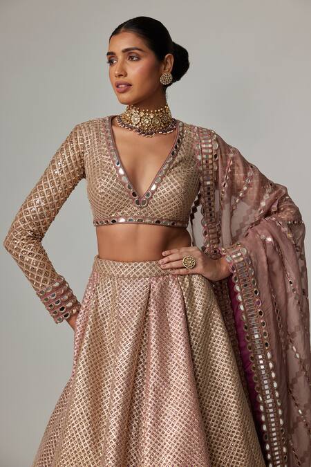 Vvani By Vani Vats_Beige Georgette, Organza Gota Patti V-neck Deep Embroidered Lehenga Set _at_Aza_Fashions
