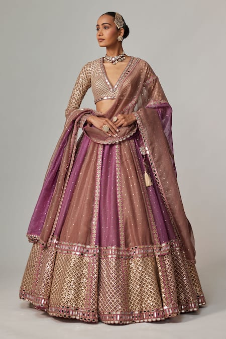 Vvani by Vani Vats Beige Organza, Georgette Sequins, Gota Patti V-neck Mud Mauve Chita Lehenga Set 